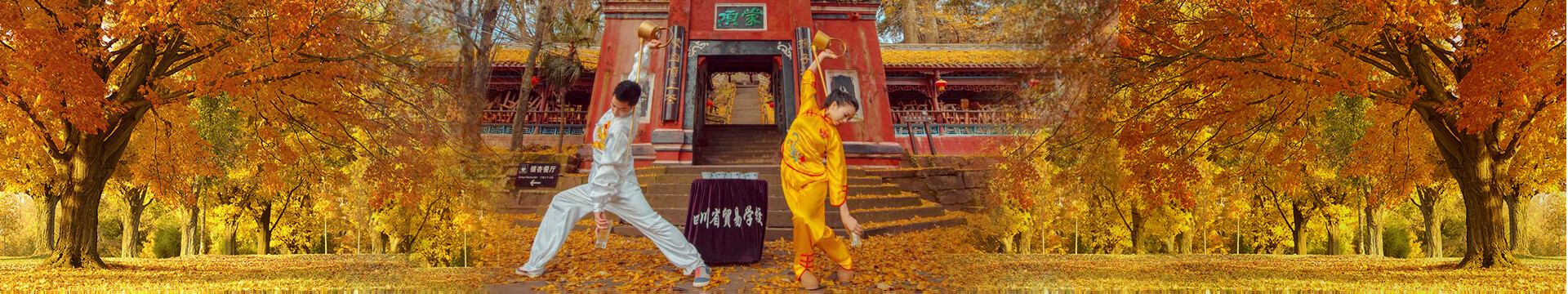 对照阅读同栏目条目通常按更新顺序排列