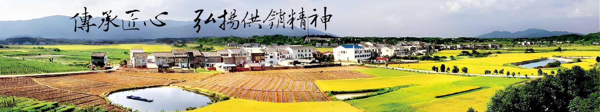 微信里点“发现”，扫一下