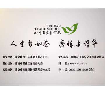 可先确认当前栏目名称